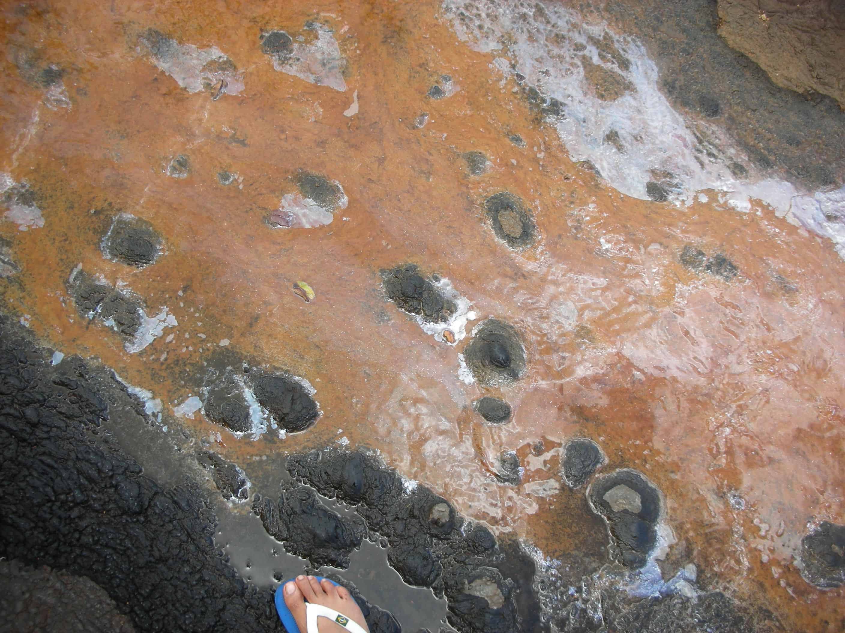 Tar Pit - Trinidad Pitch Lake Tour