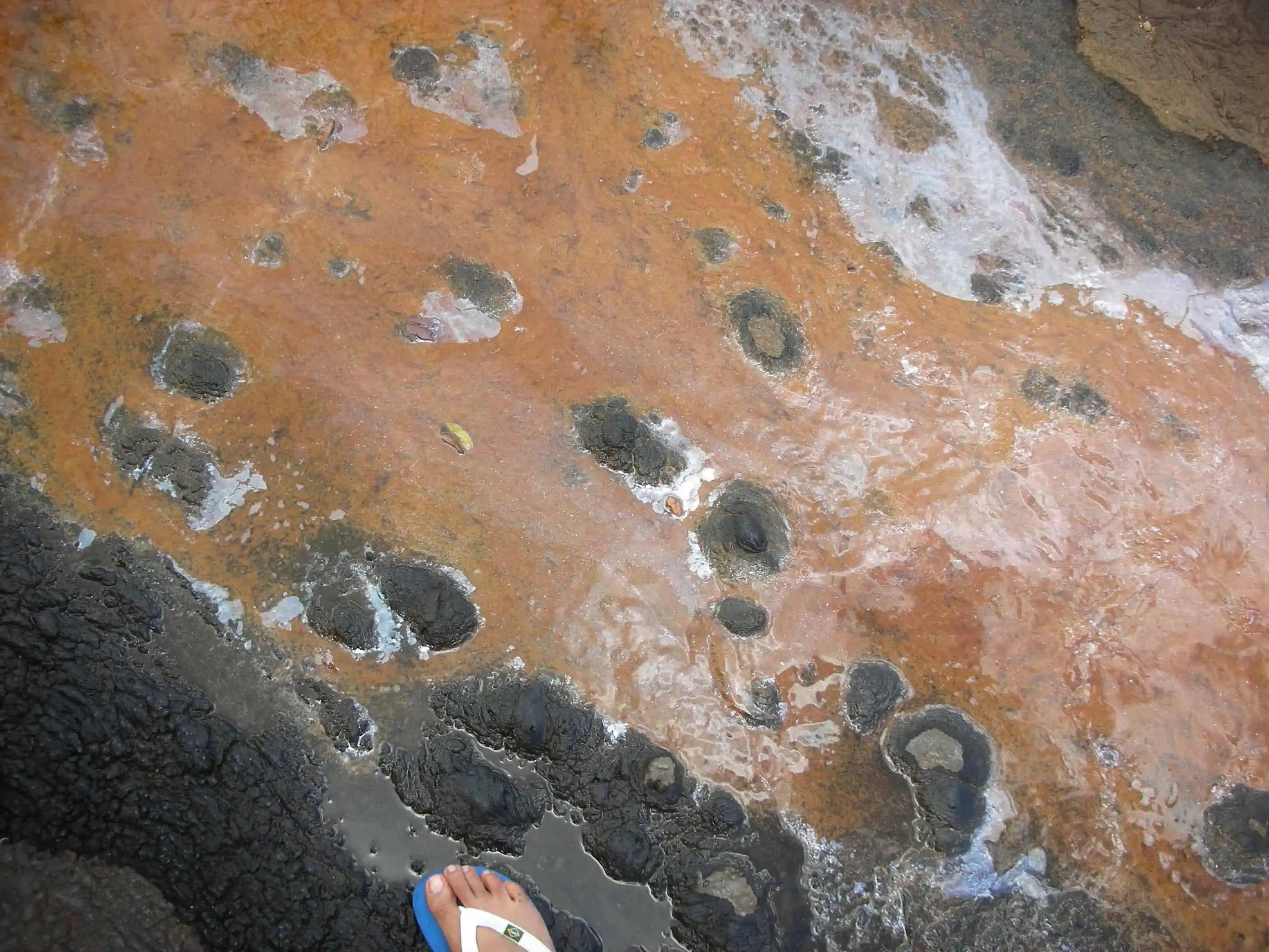 Tar Pit - Trinidad Pitch Lake Tour