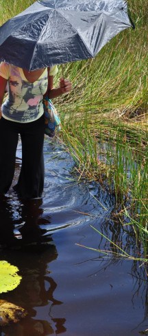 Walking in Tar Pond - Trinidad Pitch Lake Tour