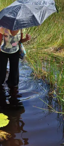Walking in Tar Pond - Trinidad Pitch Lake Tour
