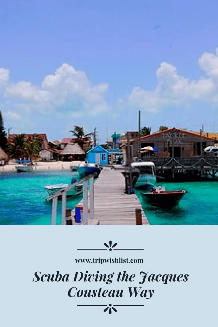 Pinterest - Scuba Diving the Jacques Cousteau Way