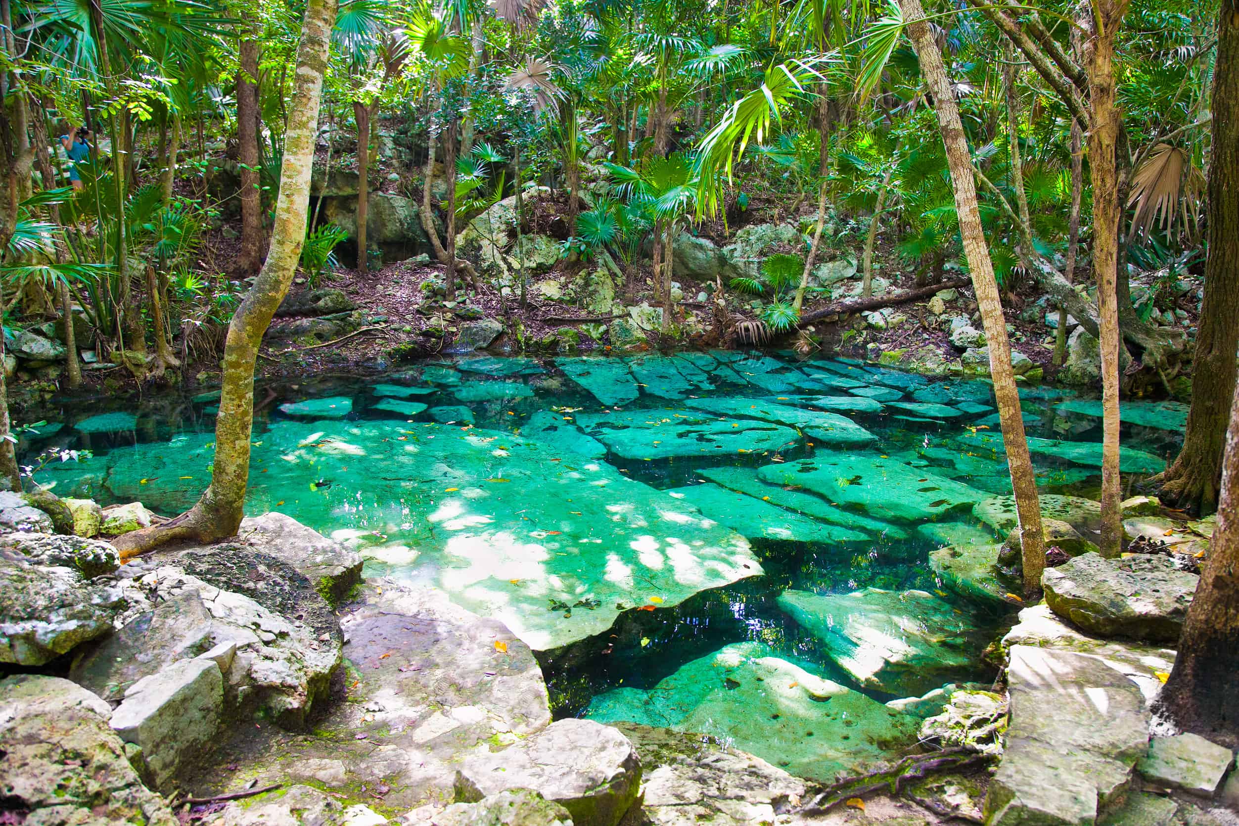 Cenote - Best Luxury Resorts in Riviera Maya