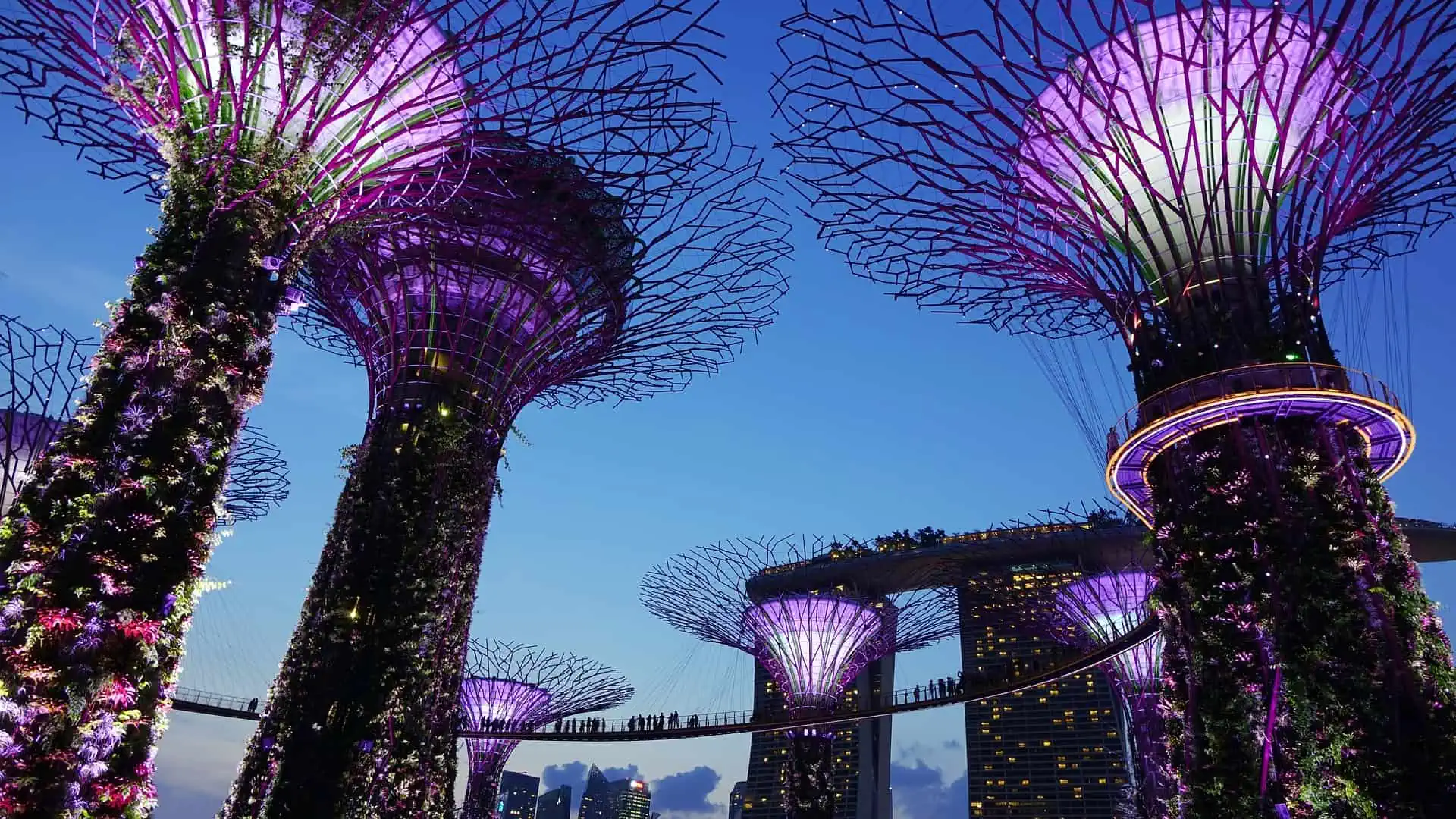 Gardens by the Bay - How to Spend 3 Days in Singapore