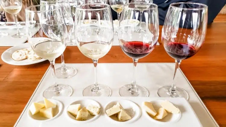 Casablanca Winery - Emiliana Organic Vineyard, Chile