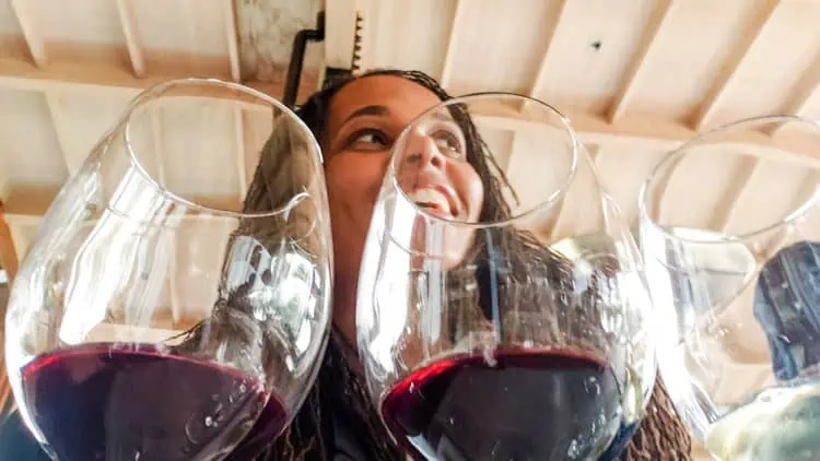 Casablanca Winery - Emiliana Organic Vineyard, Chile