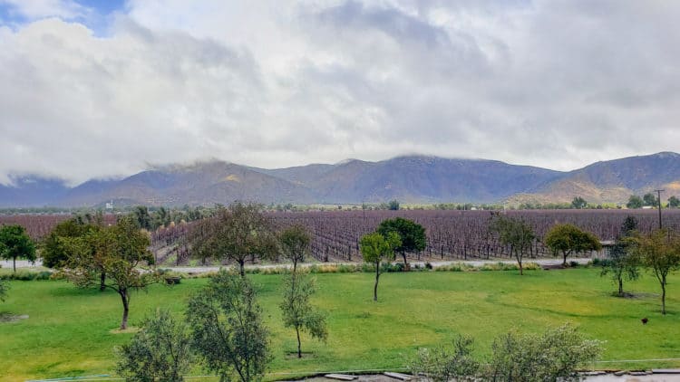 Casablanca Winery - Emiliana Organic Vineyard, Chile