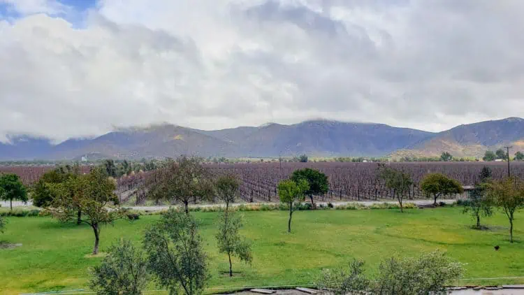 Casablanca Winery - Emiliana Organic Vineyard, Chile