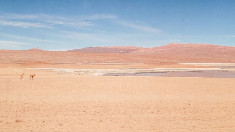 Eduardo Avaroa National Reserve - Atacama to Salar de Uyuni