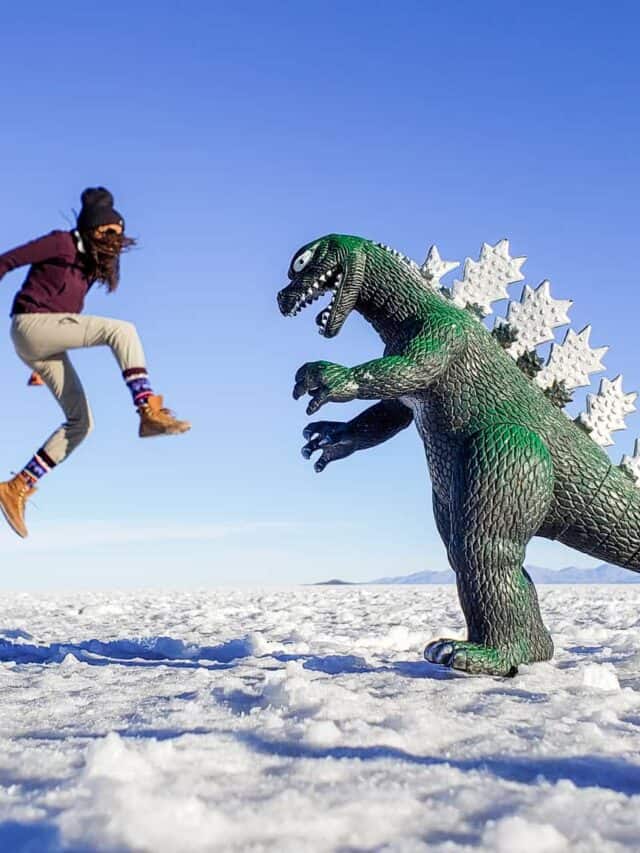 Thinking of Visiting the Uyuni Salt Flats?