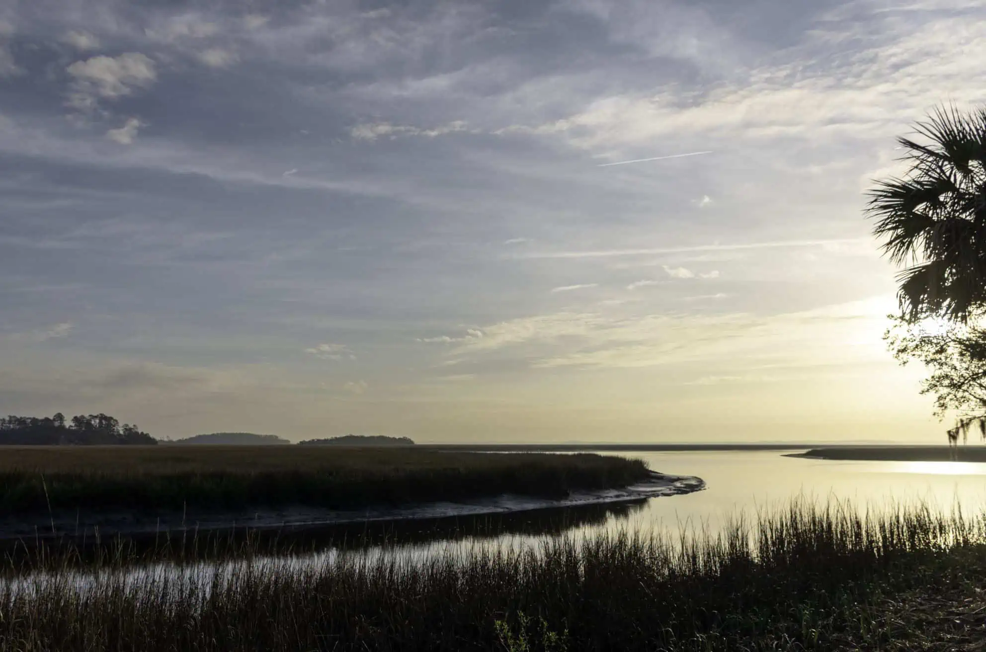 Sapelo Island - Visit All 50 States