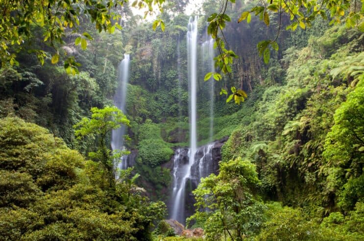 Sekumpul Waterfall - 10 Days in Bali