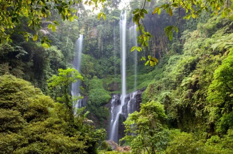 Sekumpul Waterfall - 10 Days in Bali
