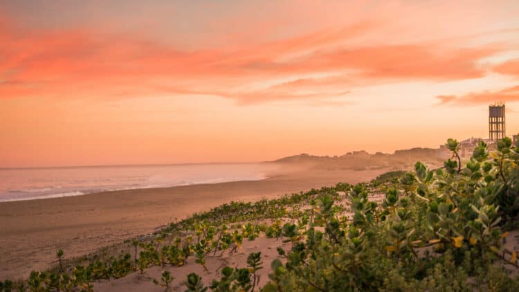 Jeffreys Bay - Best Surf Locations