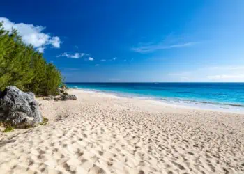 Elbow Beach - Pink Beaches of Bermuda