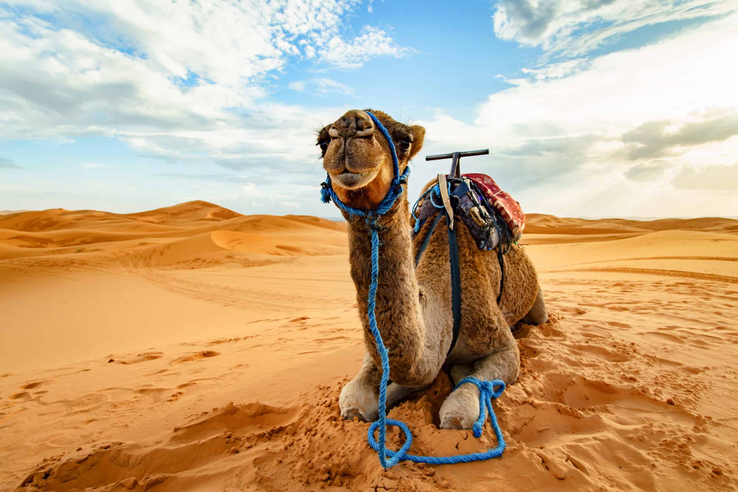 Merzouga Desert - Morocco itinerary for 10 days
