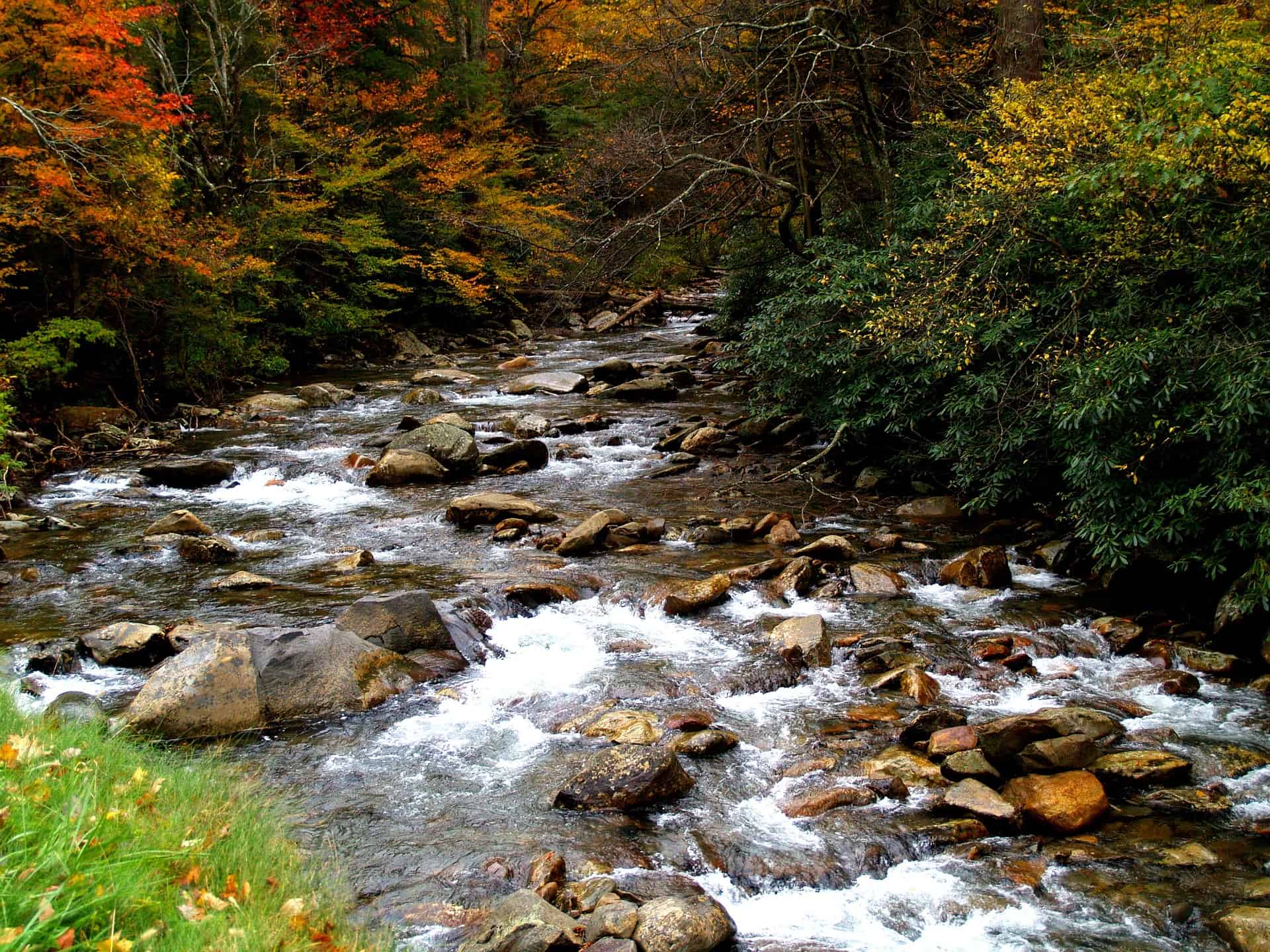 Great Smoky Mountains National Park - Best Fall Vacations in the US