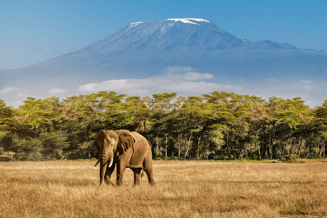 Tanzania - Best Places to Travel This Summer