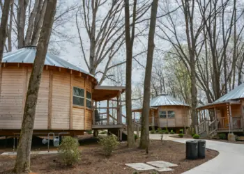 Nicewonder Farm & Vineyard Yurts - Fall in Virginia