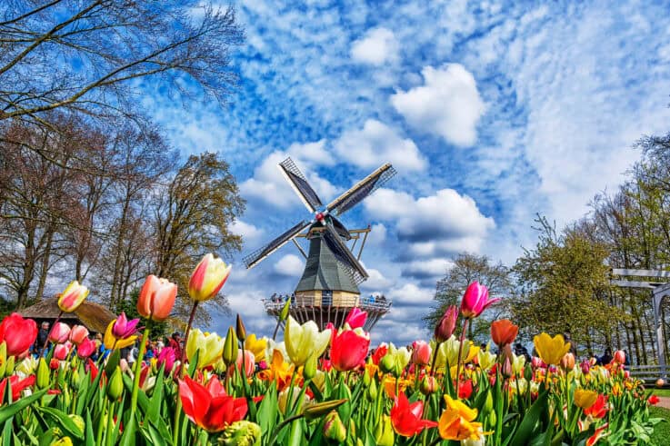 Keukenhof - best day trips from Amsterdam