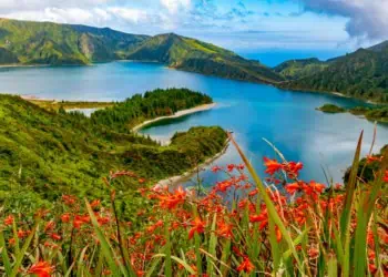 Azure blue lake with red flowers blooming in the foreground in the Azores islands of Portugal, a top ecotourism destination