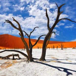 Namibia and Cape Town Adventure