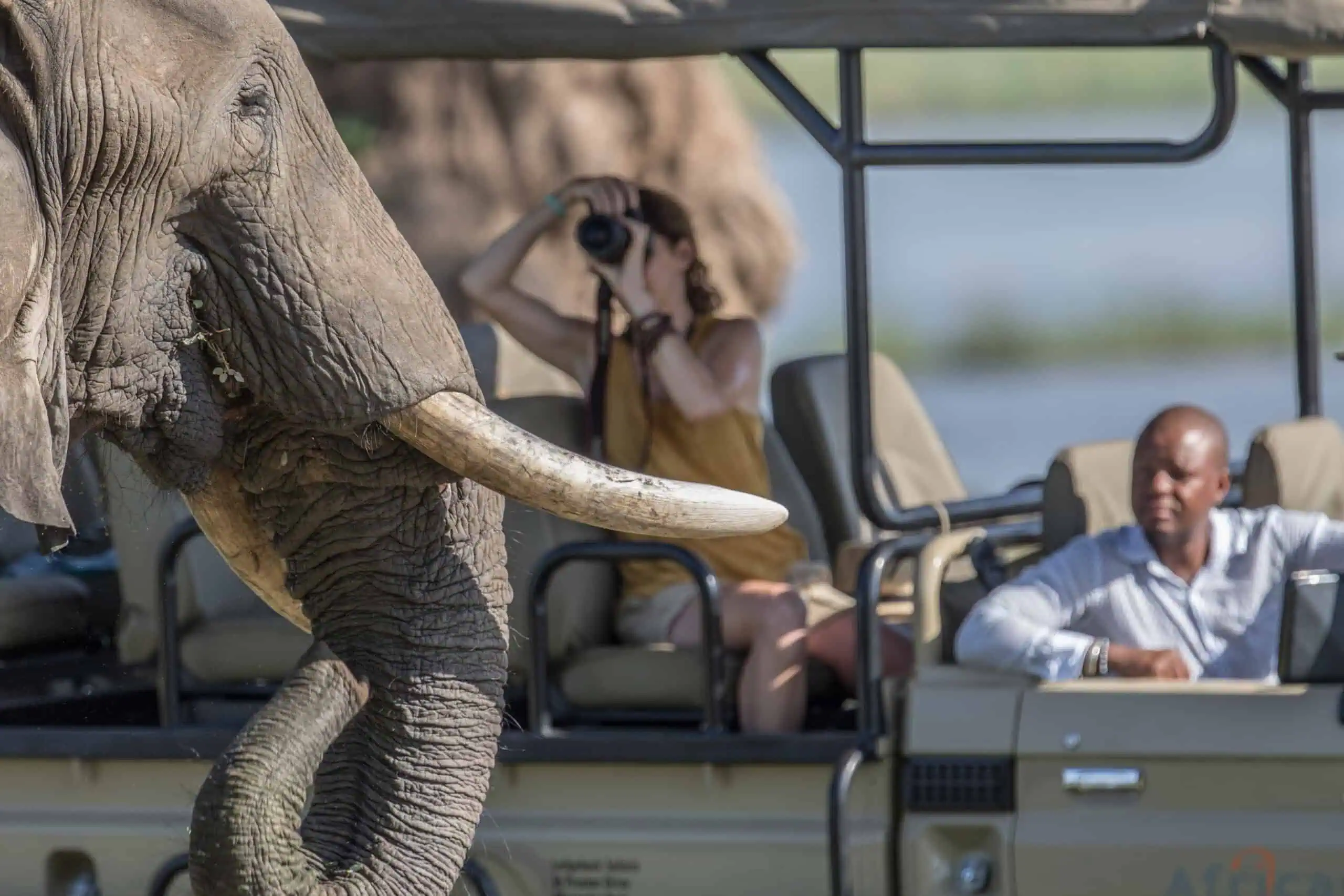 Photo Credit: African Bush Camps.